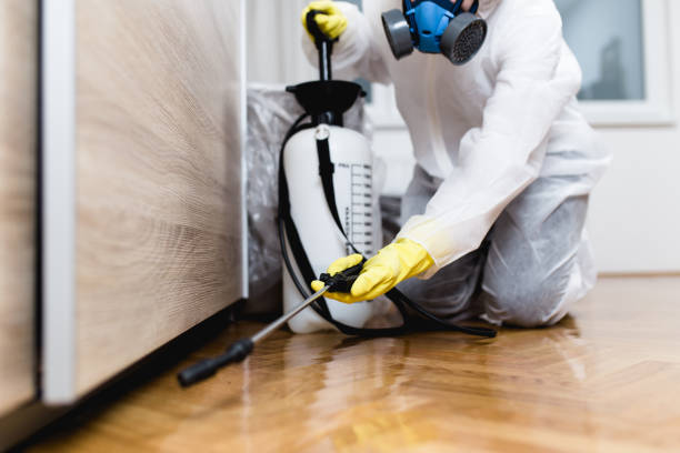Best Bed Bug Extermination  in Glenmora, LA