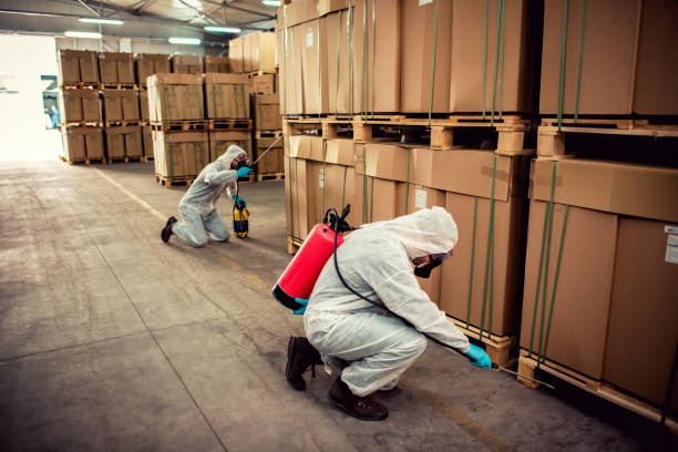 Best Affordable Pest Control Services  in Glenmora, LA