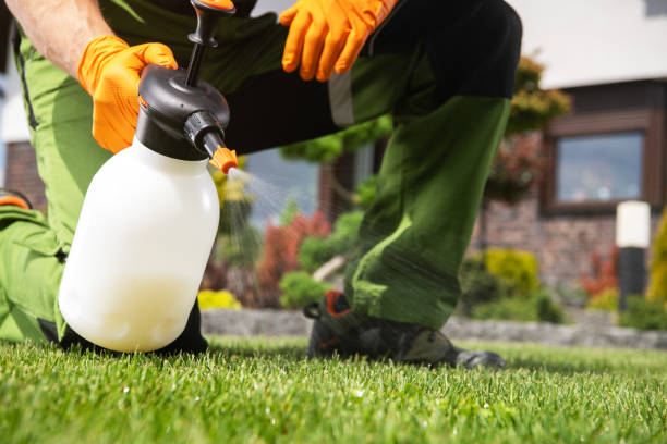 Pest Prevention Services in Glenmora, LA