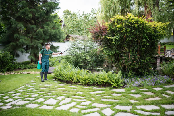 Professional Pest Control in Glenmora, LA