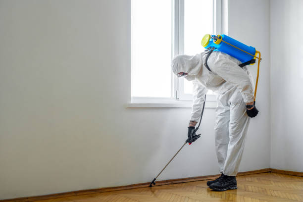 Best Wasp Removal Services  in Glenmora, LA