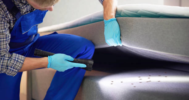 Best Commercial Pest Control Services  in Glenmora, LA