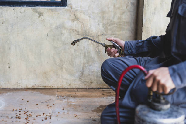 Best Residential Pest Control  in Glenmora, LA